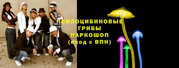 тгк Аркадак