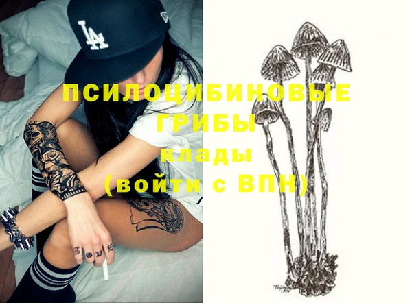 тгк Аркадак
