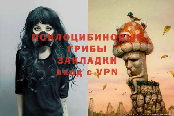тгк Аркадак