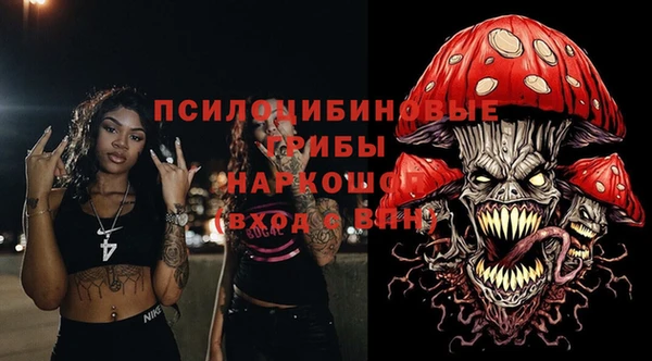 тгк Аркадак