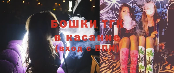 тгк Аркадак