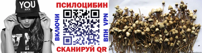 Галлюциногенные грибы мицелий Покачи