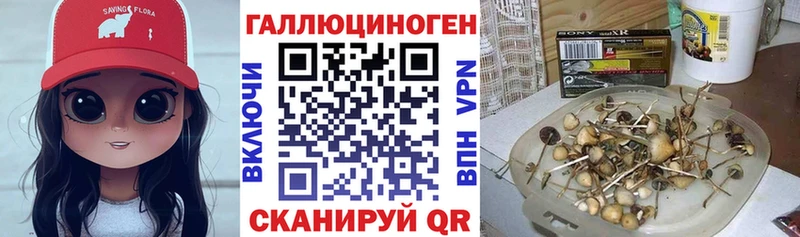Галлюциногенные грибы мицелий  Покачи 
