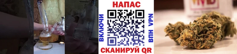 Каннабис гибрид  Покачи 
